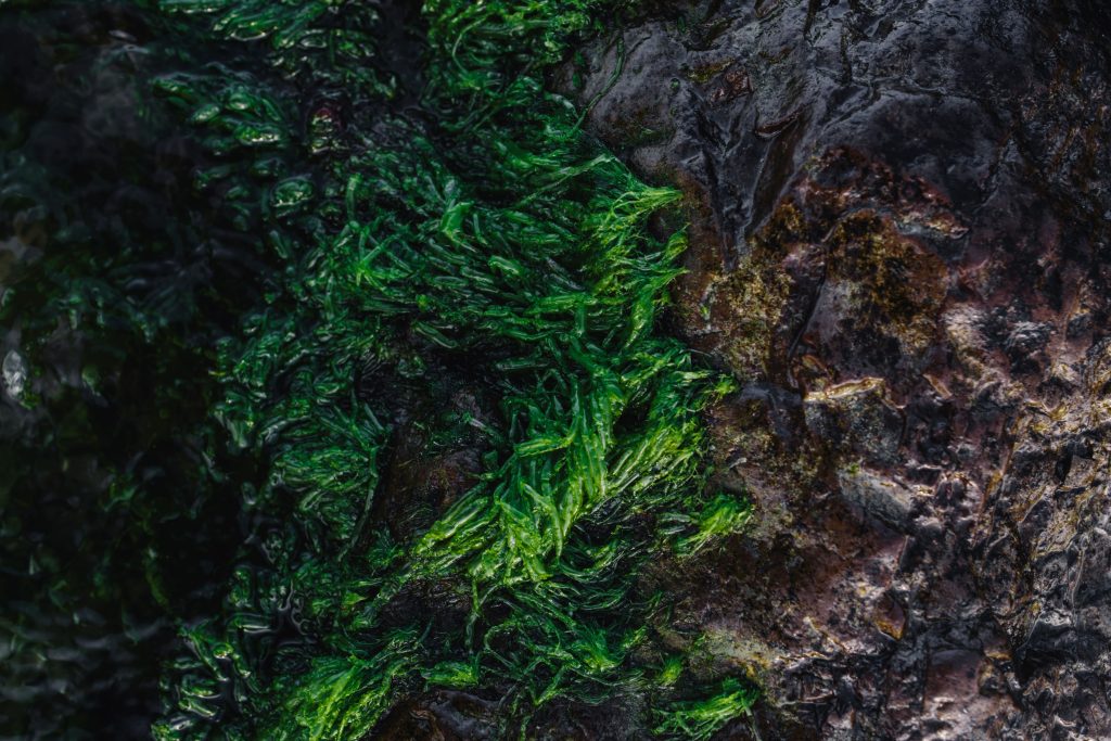 What Are Eco-Friendly Materials? A Guide to Sustainable Material Selection, from Recycled Plastics to Recyclable Packaging